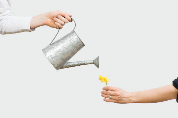 꽃에 물을 주고 - plant watering can human hand holding 뉴스 사진 이미지