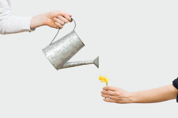 Watering a Flower Watering a Flower watering can stock pictures, royalty-free photos & images