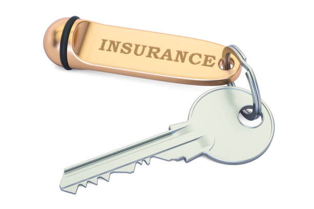 istock Insurance concept, key with keychain. 3D rendering isolated on white background 686751868
