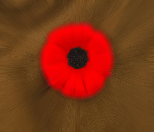 Veteran's Day poppy with bokeh effect  on brown