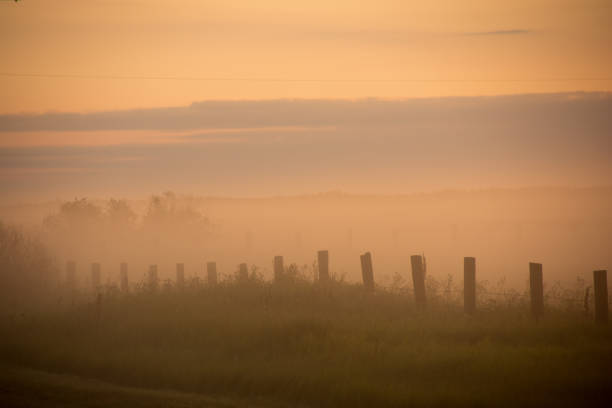 istock Morning mist over field and fence   copy space 686773640