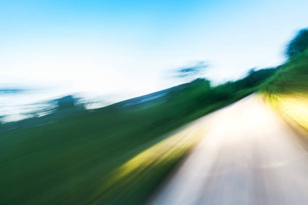 rural road in the dusk with green tree plants