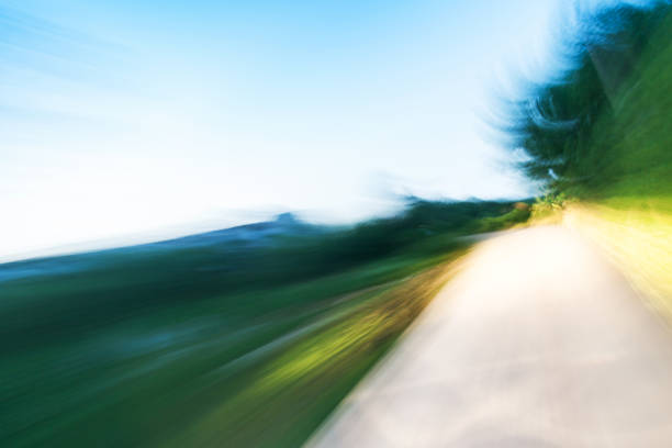 rural road in the dusk with green tree plants