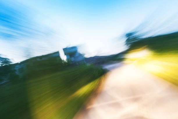 istock rural road in the dusk with green tree plants 686777454