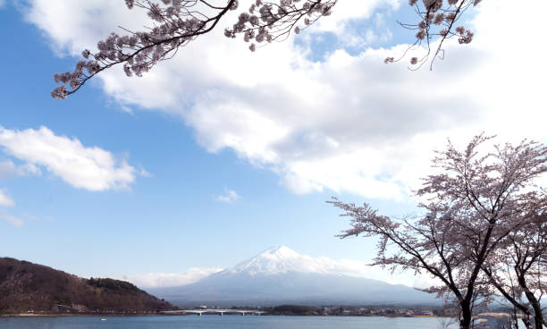 istock Tateyama Kurobe Alpine Route the snow mountains wall 686789724