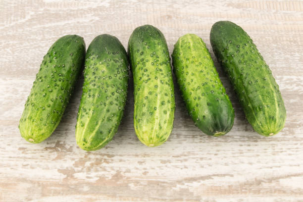 istock Cucumber on white wooden background close up. 686789868