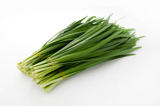 istock Garlic chives isolated on white background 686800492