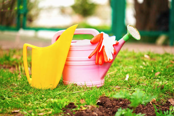 istock Garden watering cans and gloves on a lawn 686805798