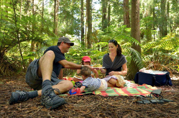 Redwoods in Rotorua New Zealand Family having a picnic outdoors in Redwoods Rotorua, New Zealand. whakarewarewa stock pictures, royalty-free photos & images