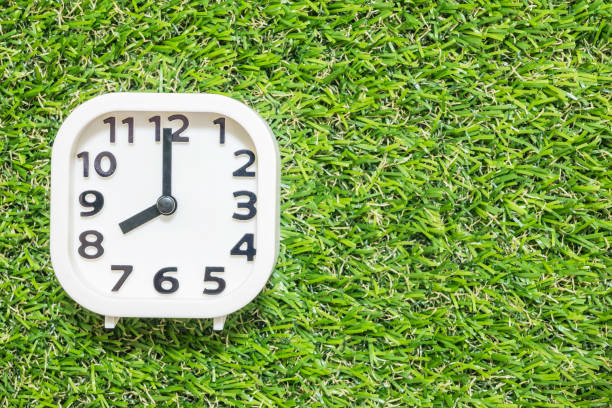 istock Closeup white clock for decorate in 8 o'clock on green artificial grass floor textured background with copy space 686834704