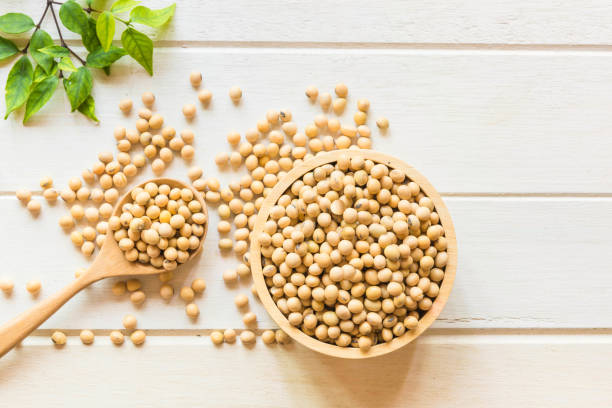 istock Soy been  on white table,healthy concept. 686843684