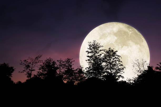 istock Dramatic and beautiful big moon on night sky. 686849518