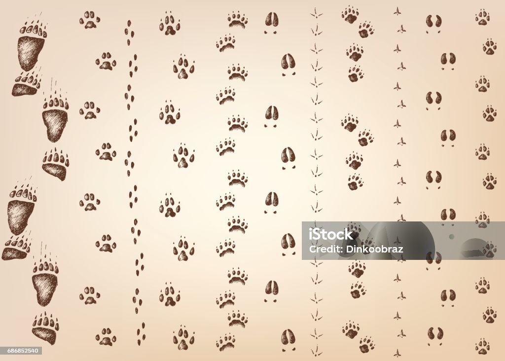 Vector set of walking wild wood animal and bird tracks Vector hand drawn set of walking wild wood animal and bird tracks Old-fashioned stock vector