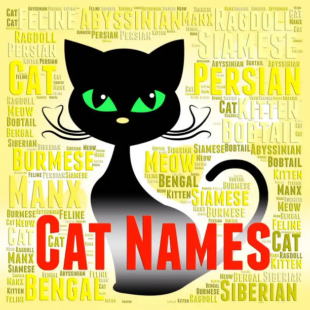 Photo of Cat Names Represents Pedigree Pets And Felines