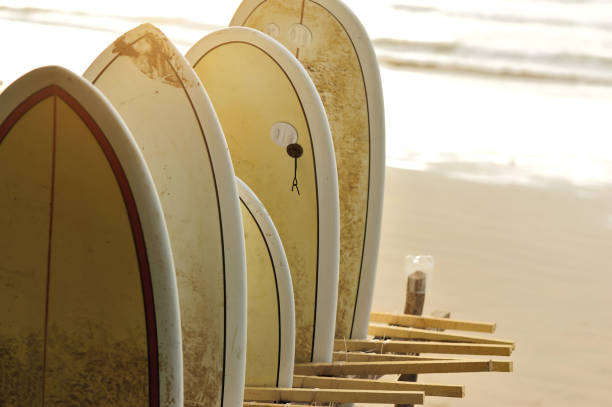 istock surfboards for rent on seaside beach 686860504