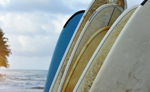 istock surfboards for rent on seaside beach 686863926