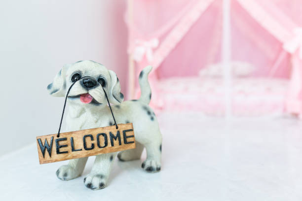 Lovely puppy doll holding a \