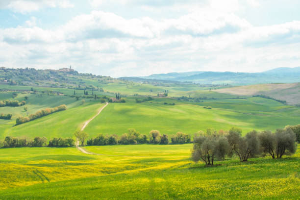 istock Landscape of tuscan countryside in spring 686869498