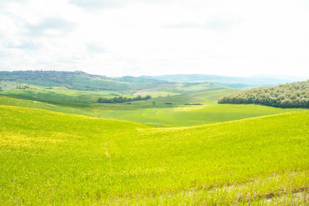 istock Landscape of tuscan countryside in spring 686869956