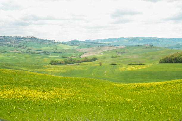 istock Landscape of Val d'Orcia 686870038