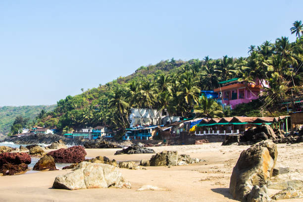 istock Arambol beach with stones, palms and houses, Goa, India 686873106