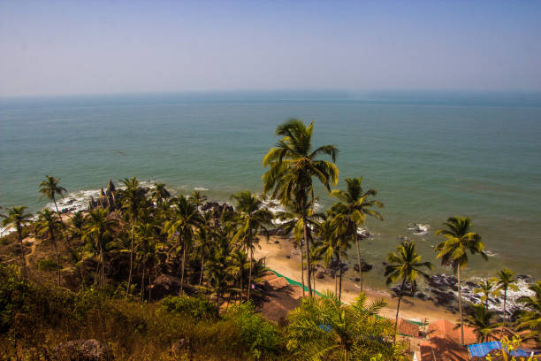 istock Arambol beach top view, palms, beach and Arabian sea, Goa, India 686873152