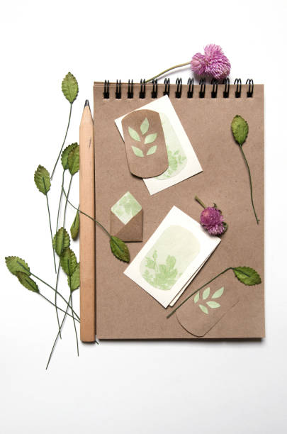 istock Craft paper sketch-book with flowers 686879174