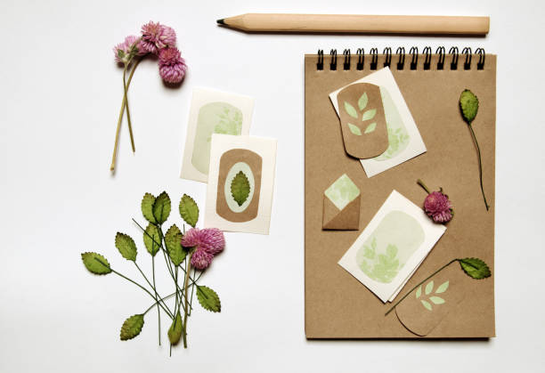 istock Craft paper sketch-book with flowers 686879230