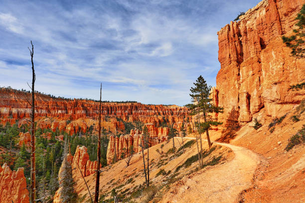 istock Bryce Canyon National Park. Peekaboo Loop Trail with focus on the footpath 686886490