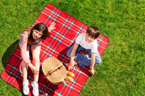Cute kids ready for picnic in summer meadow Top view portrait of happy boy and girl sitting on red checkered picnic blanket with hand basket beach mat stock pictures, royalty-free photos & images