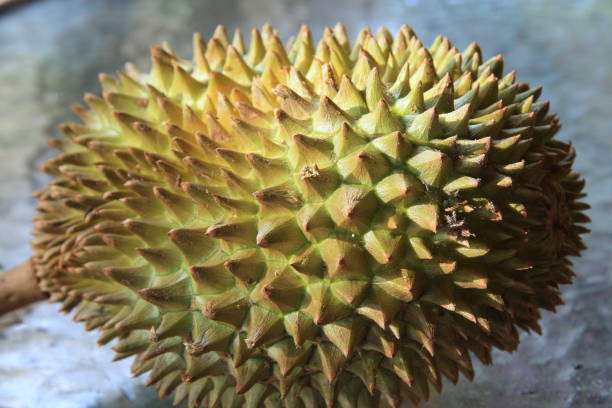 istock Thailand fruits 686893012