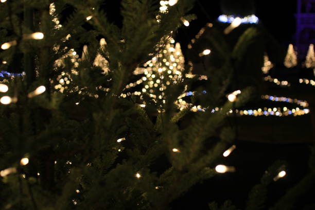 istock Christmas illumination in Japan 686896592