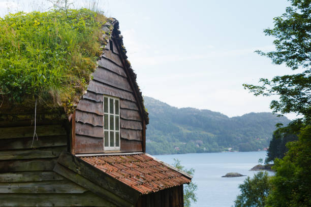 istock House roof covered with moss 686896768