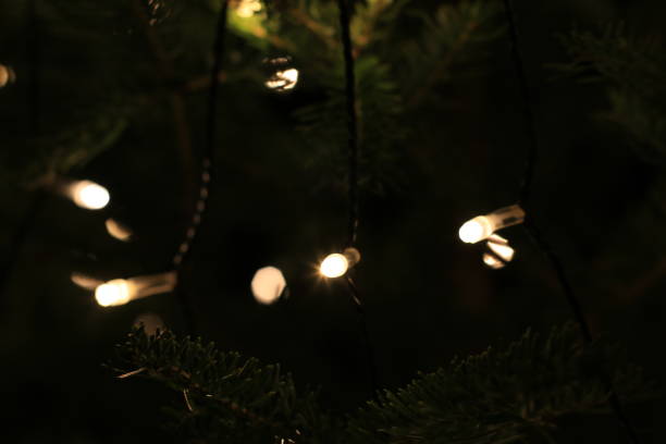 istock Christmas illumination in Japan 686899640