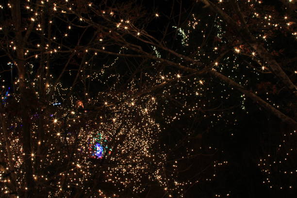 istock Christmas illumination in Japan 686899878