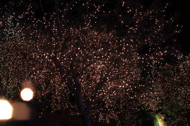 istock Christmas illumination in Japan 686900016