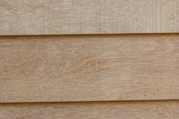 istock Wooden walls 686918674