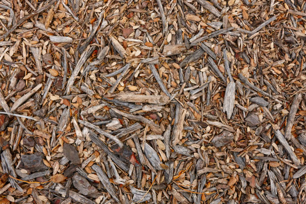 istock Autumn fall nature background. Abstract textured ground 686921642