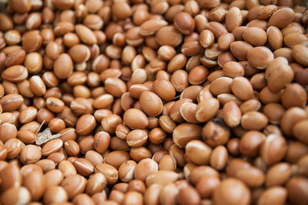 istock Food background - argan seeds 686928554