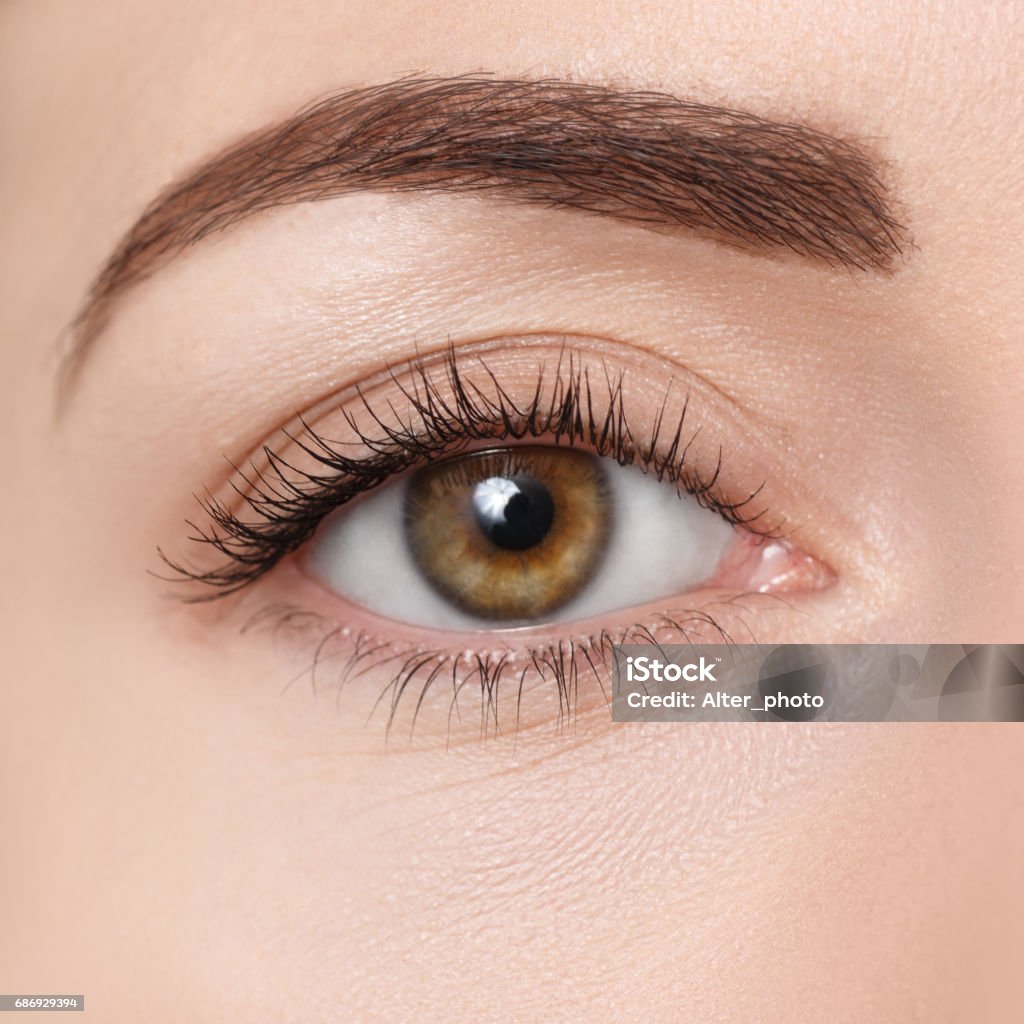 closeup of brown eye closeup of brown eye. Beautiful macro image of female eye with makeup. Perfect shape of eyebrow. Cosmetics and make-up. Fashion natural eye visage. Hazel eye looking at camera Eyelash Stock Photo