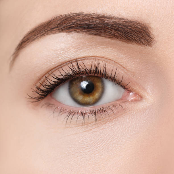 closeup of brown eye - hazel eyes imagens e fotografias de stock