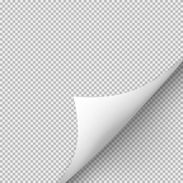 Curled corner of paper with shadow on transparent background