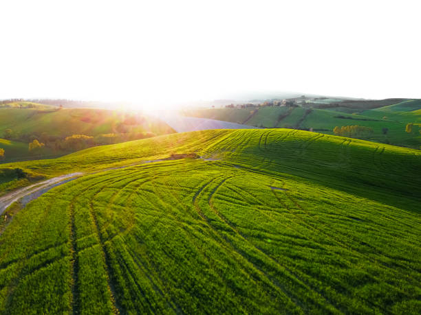 istock sunset countryside in italy 686932342