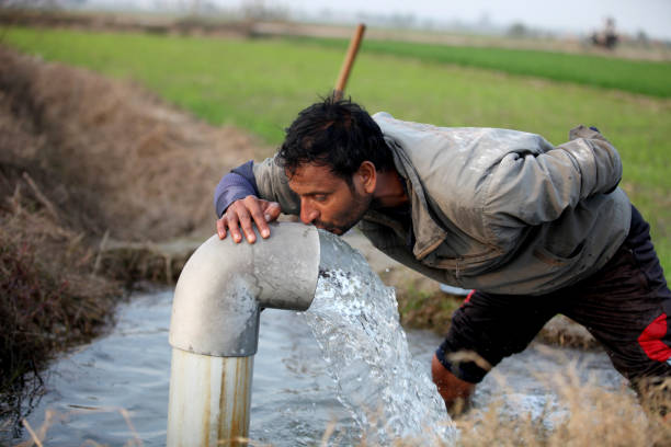 istock Young men drinking outdoor in the field 686935442