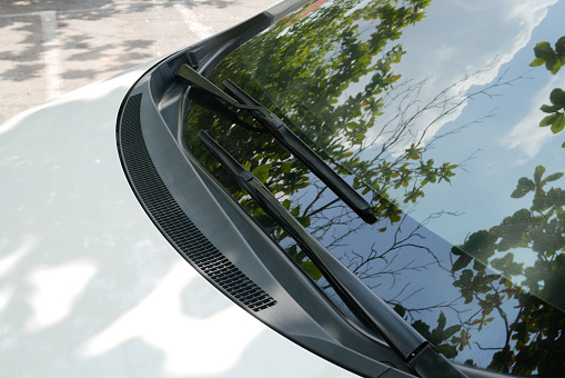 Windshield wipers of a white car which have green leaves, clouds and blue sky reflection