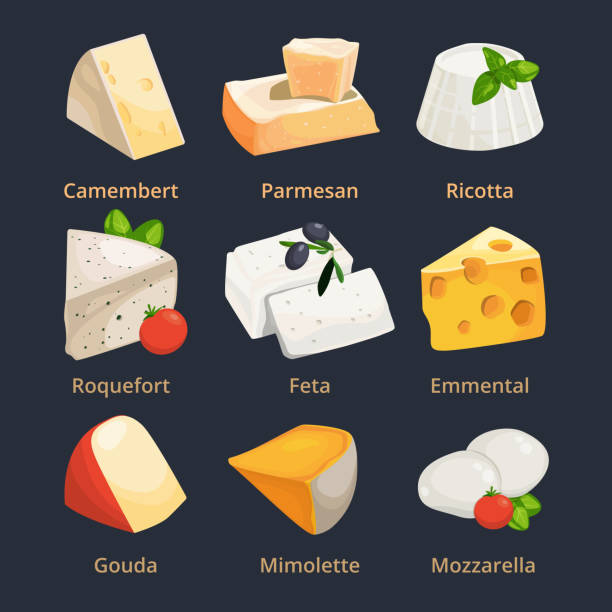 Cartoon illustration of different cheeses. Vector pictures set Cartoon illustration of different cheeses. Vector pictures set cheese camembert and parmesan, ricotta and mimolette swiss cheese slice stock illustrations