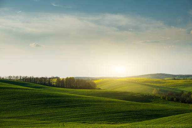 istock Countryside and green hills landscape 686938910