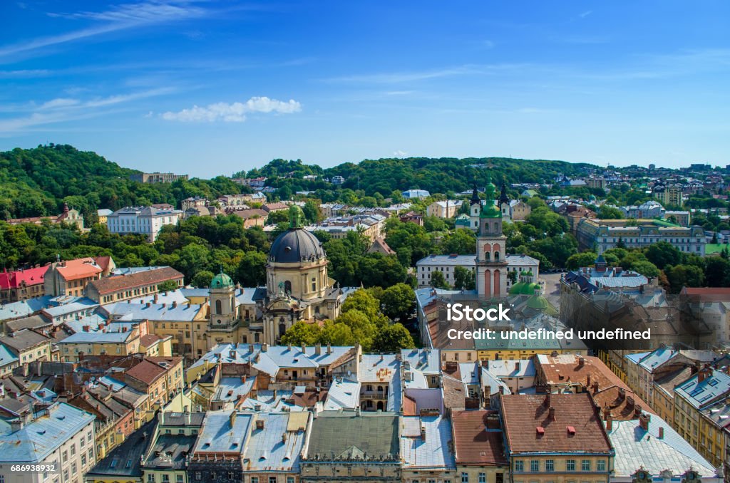 Lviv Panorama Castle Stock Photo