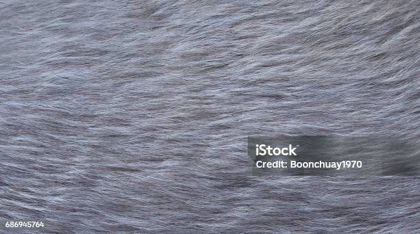 Gray Dog Fur For Abstract Or Background Stock Photo - Download Image Now - Animal Hair, Fur, Gray Color