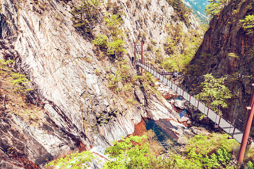 Suspension bridge in the mountains in the national park of Seoraksan, a beautiful bright landscape